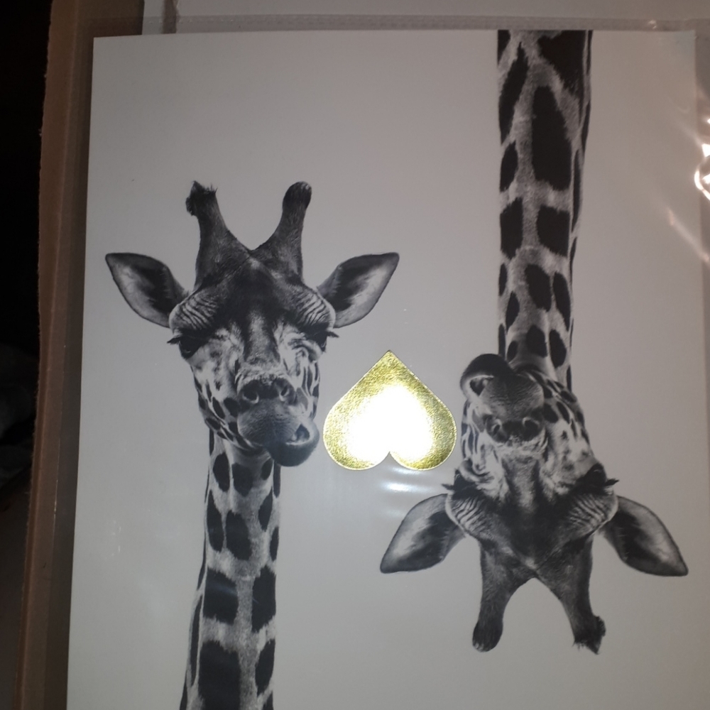 Giraffe Print w/🦒🦒REAL Gold Foil - NWT